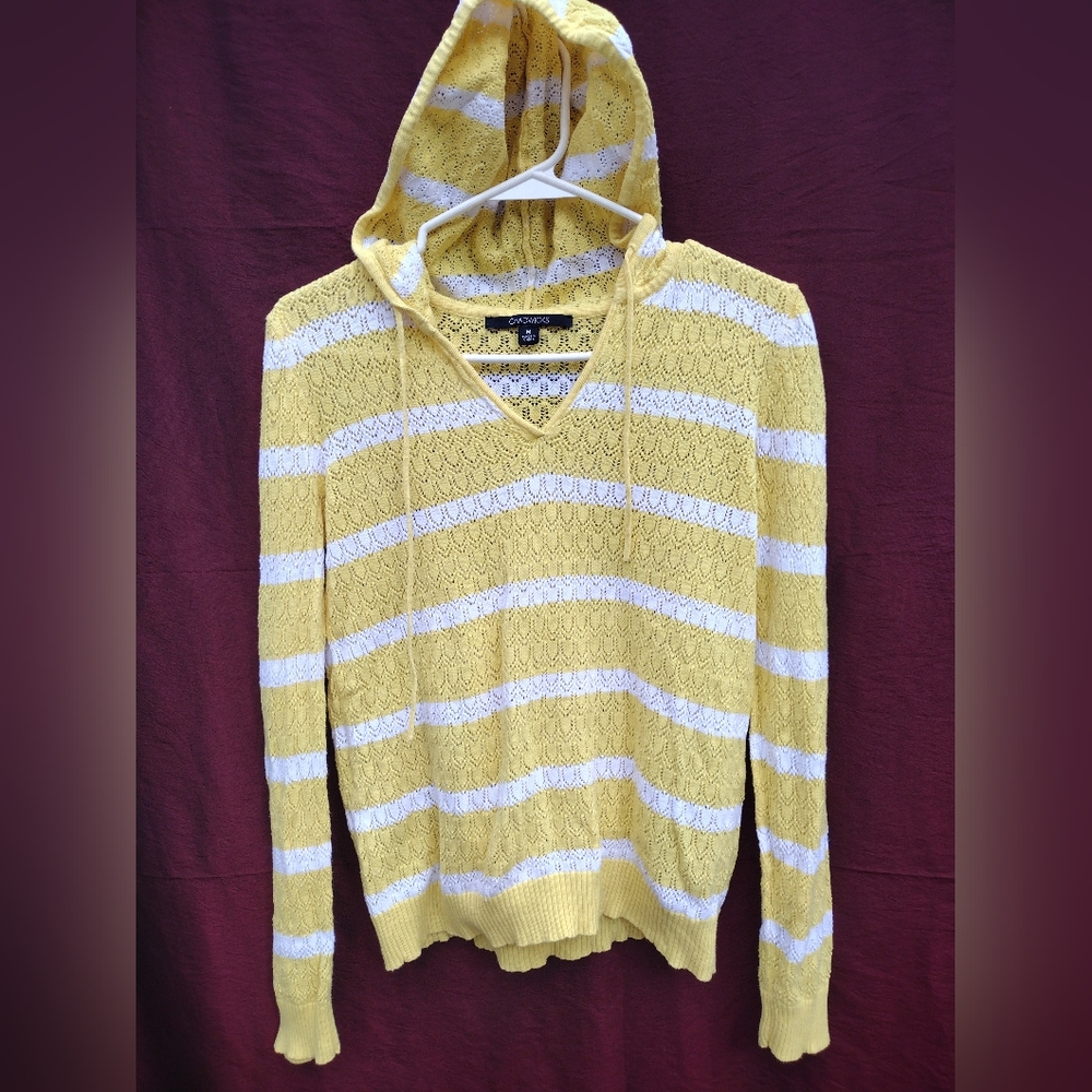 Ladies hoodie shirt
